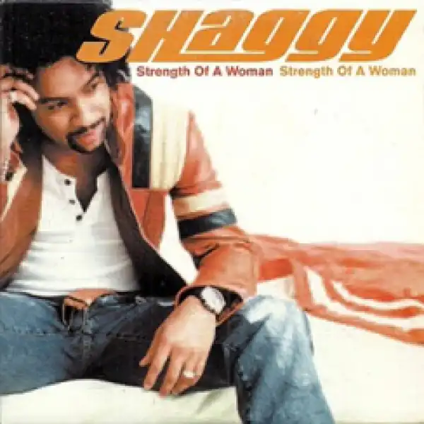 Shaggy - Strength of a Woman